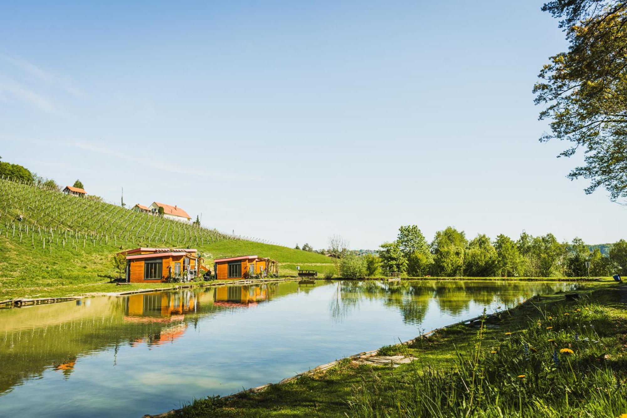 Naturasort Holiday Houses Pesnica pri Mariboru エクステリア 写真