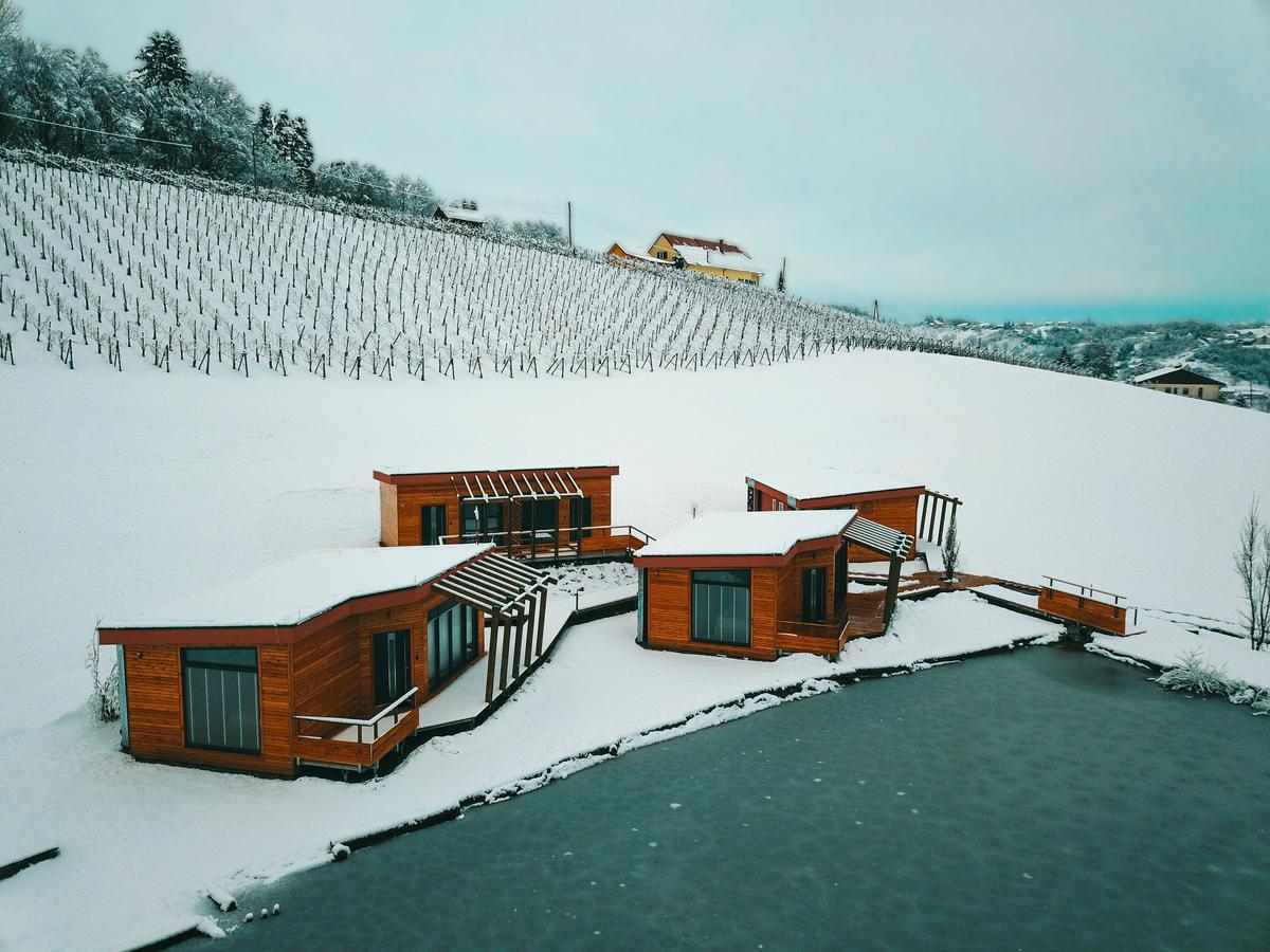 Naturasort Holiday Houses Pesnica pri Mariboru エクステリア 写真