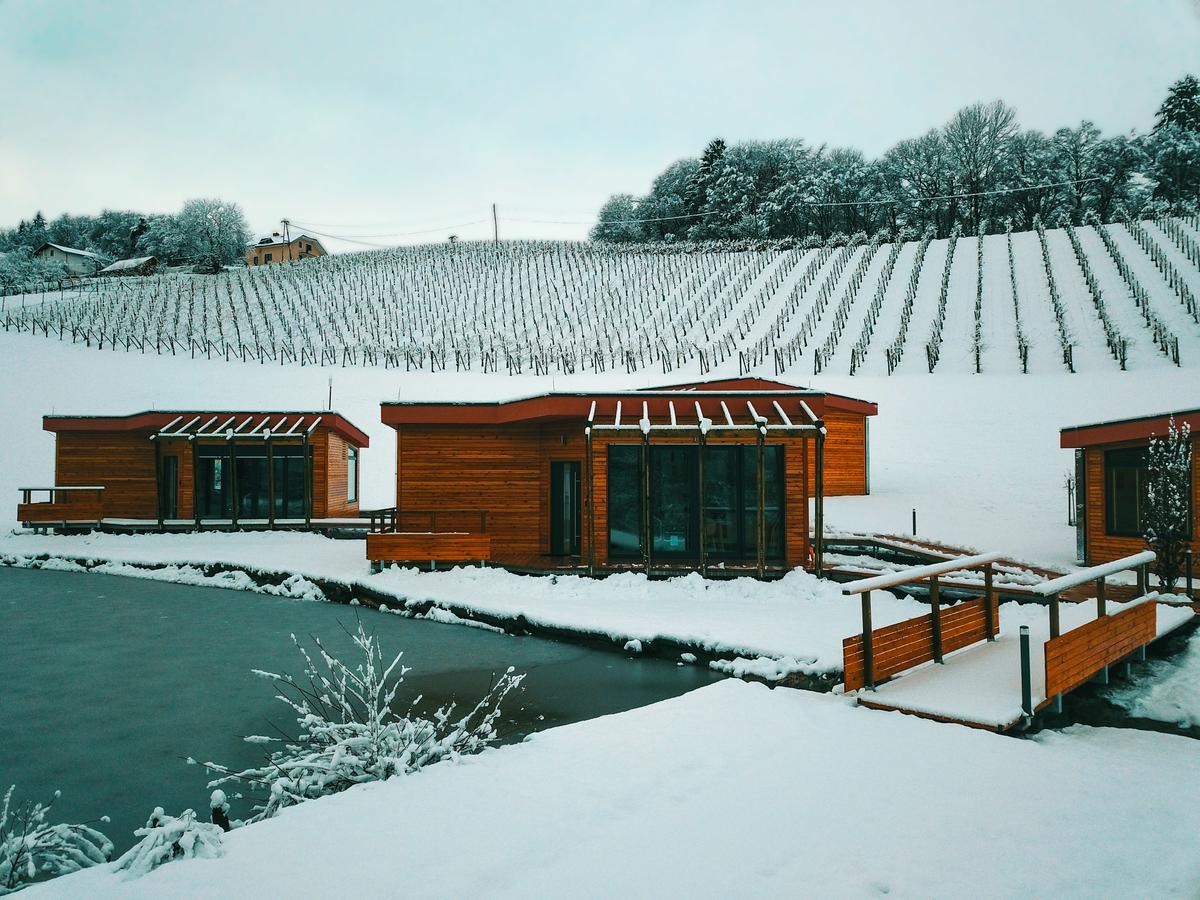 Naturasort Holiday Houses Pesnica pri Mariboru エクステリア 写真