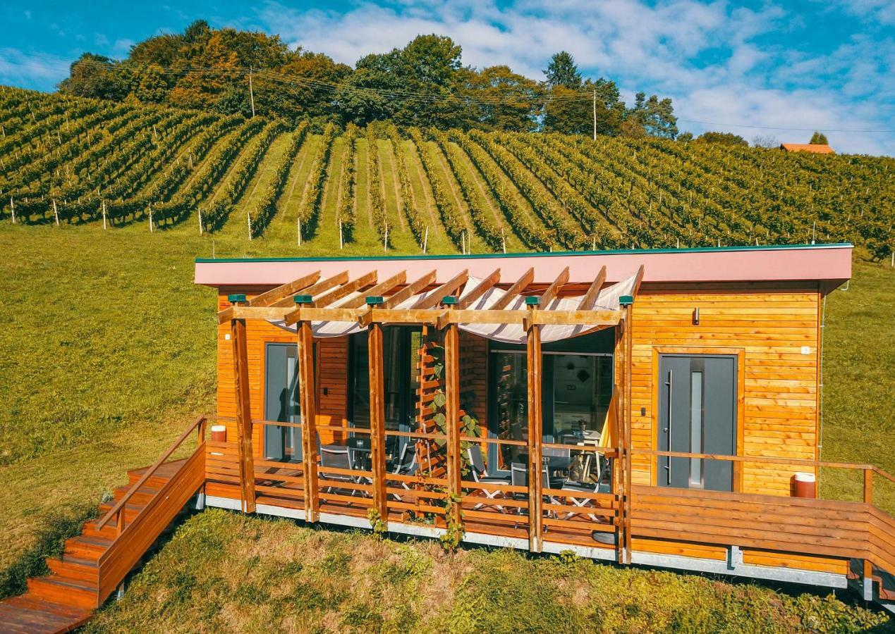 Naturasort Holiday Houses Pesnica pri Mariboru エクステリア 写真